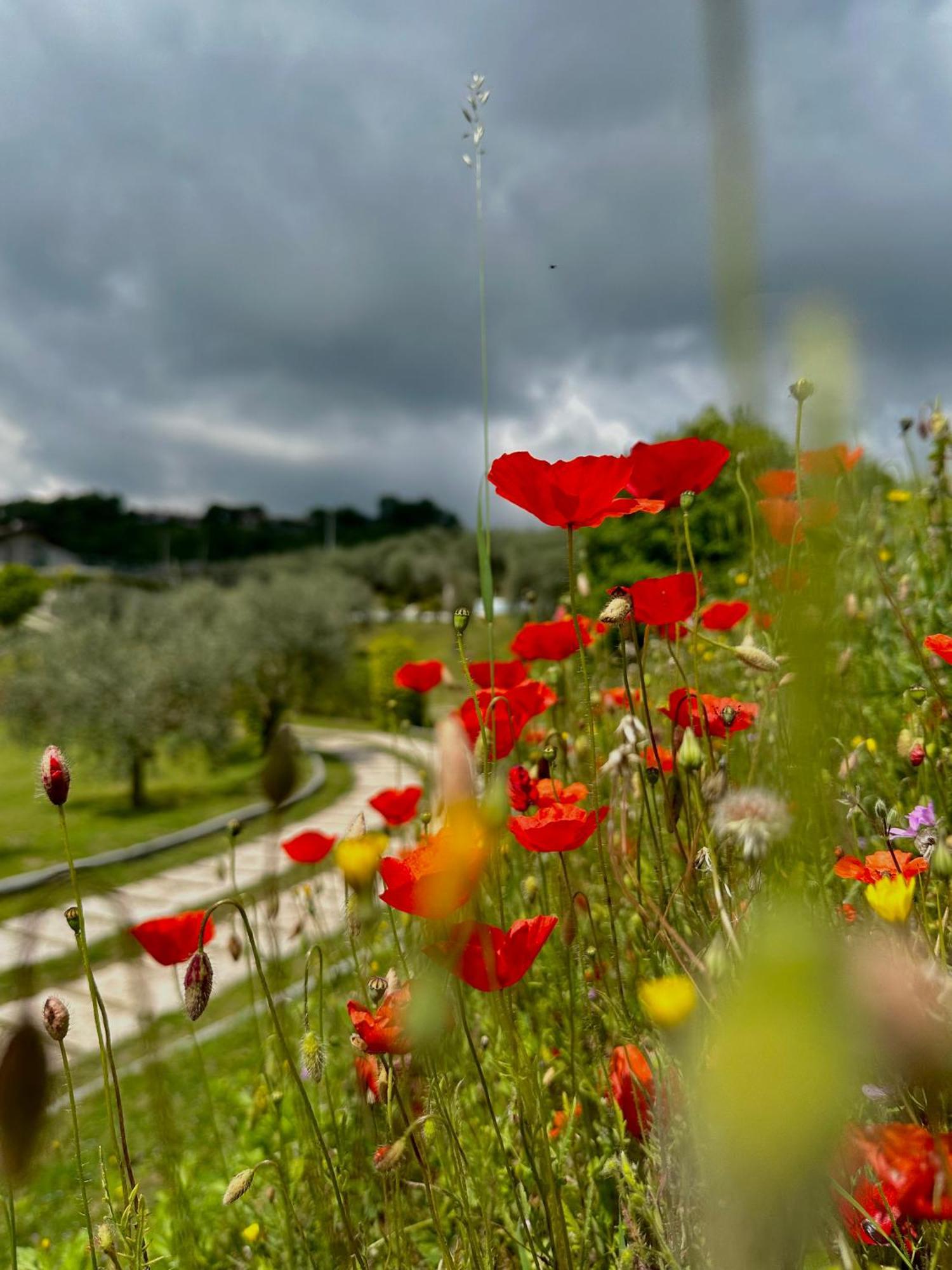 Holiday Home Sovenigo Puegnago Exterior photo